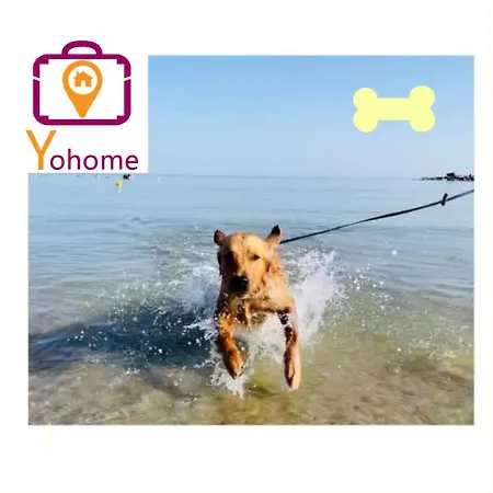 Nadi Con Vista Mare A By Yohome *