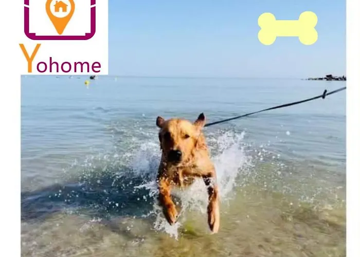 Nadi Con Vista Mare A By Yohome *